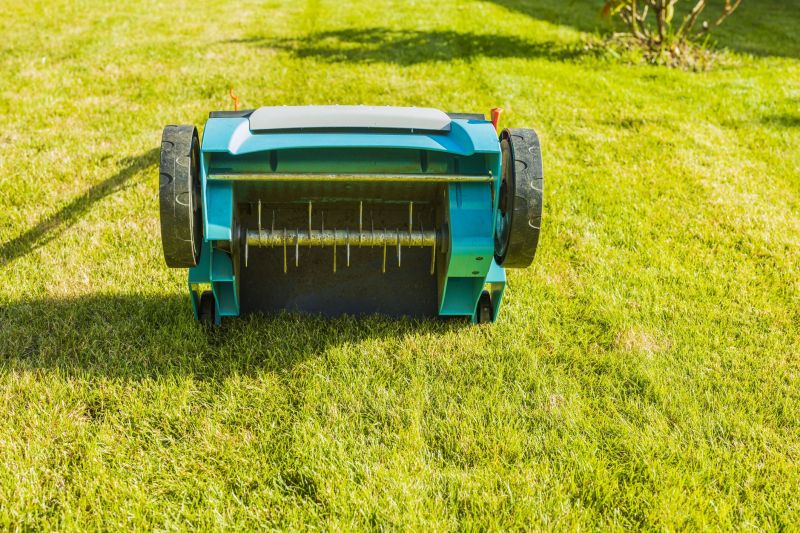 Aeration And Overseeding Service