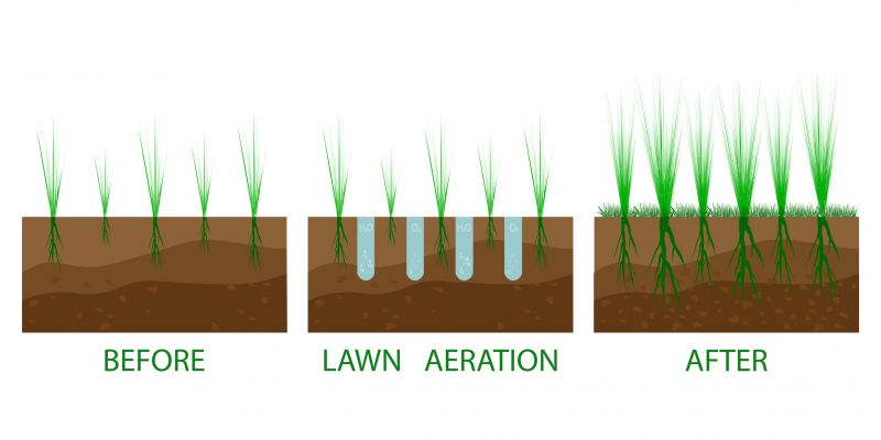 Aeration And Overseeding Service