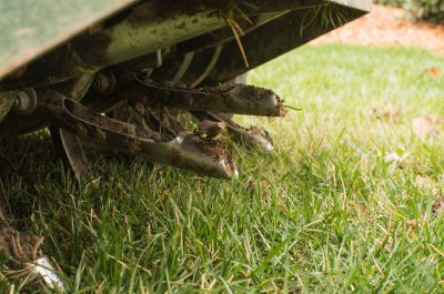 Close-up of Aeration Holes in Grass